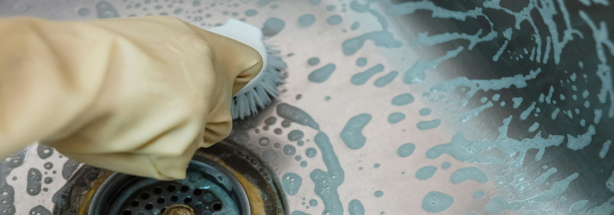 Person scrubbing a sink